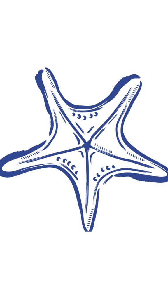 TOP 10 plages la ciotat