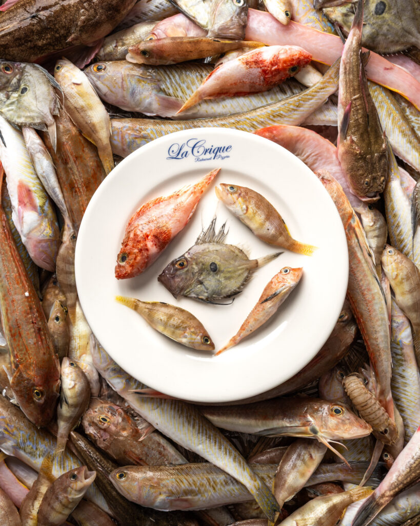 poisson frais restaurant la Ciotat